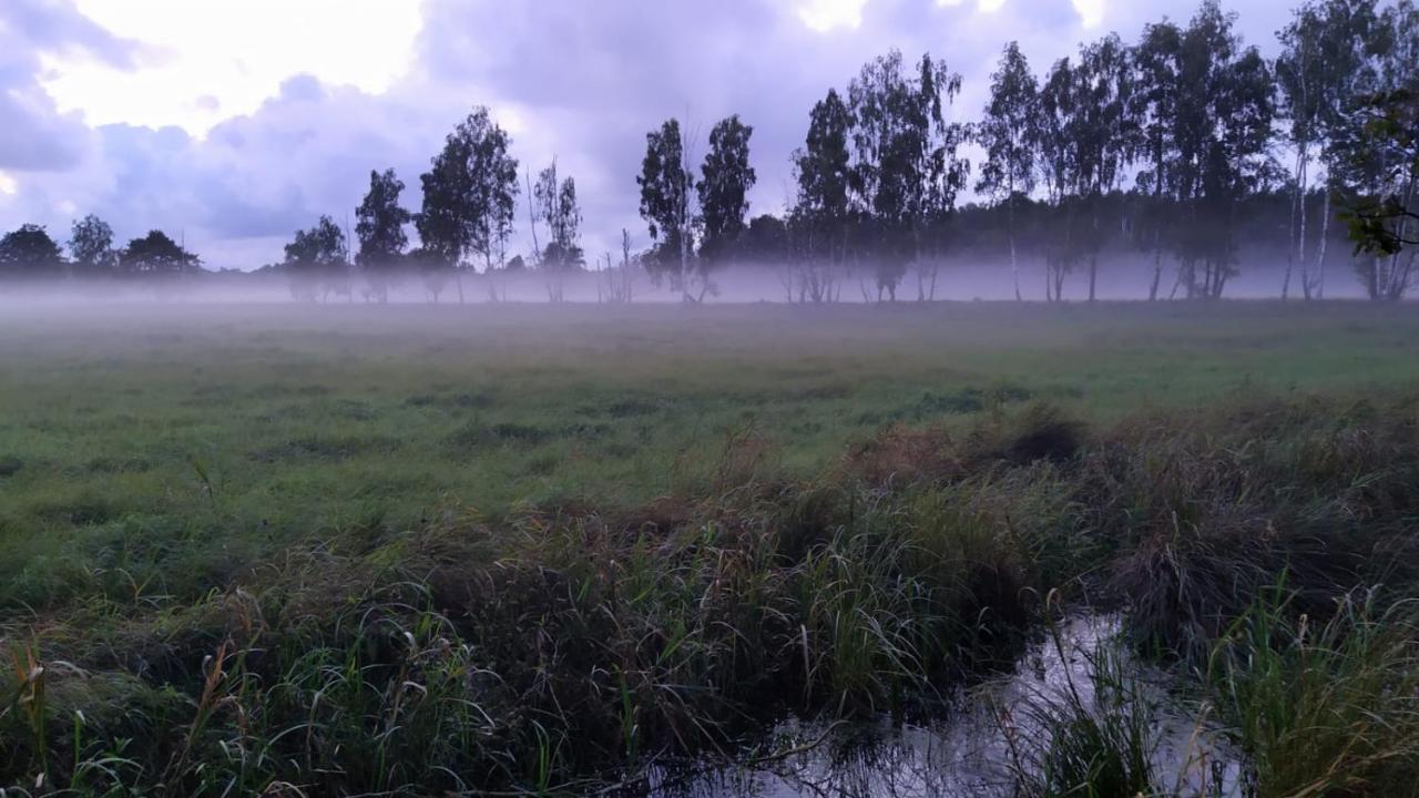 Slowinskie Widoki Domki Flora, Fauna, Noclegi Smoldzinski Las Ngoại thất bức ảnh
